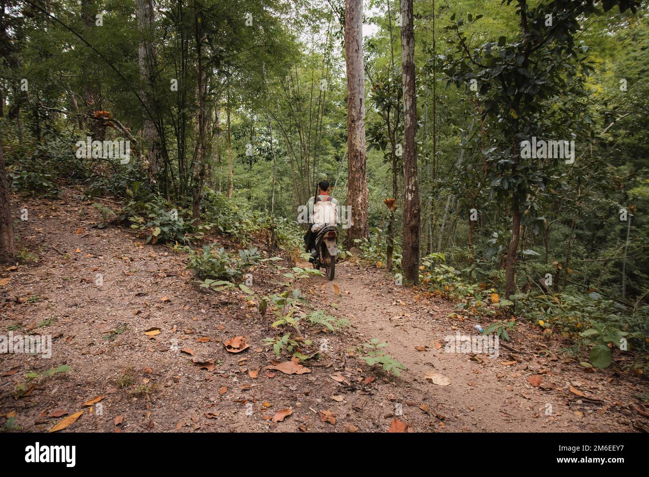 Ein einheimischer Mann, der mit einem Gewehr Motorrad im Dschungel fährt. Pai, Nordthailand. Stockfoto