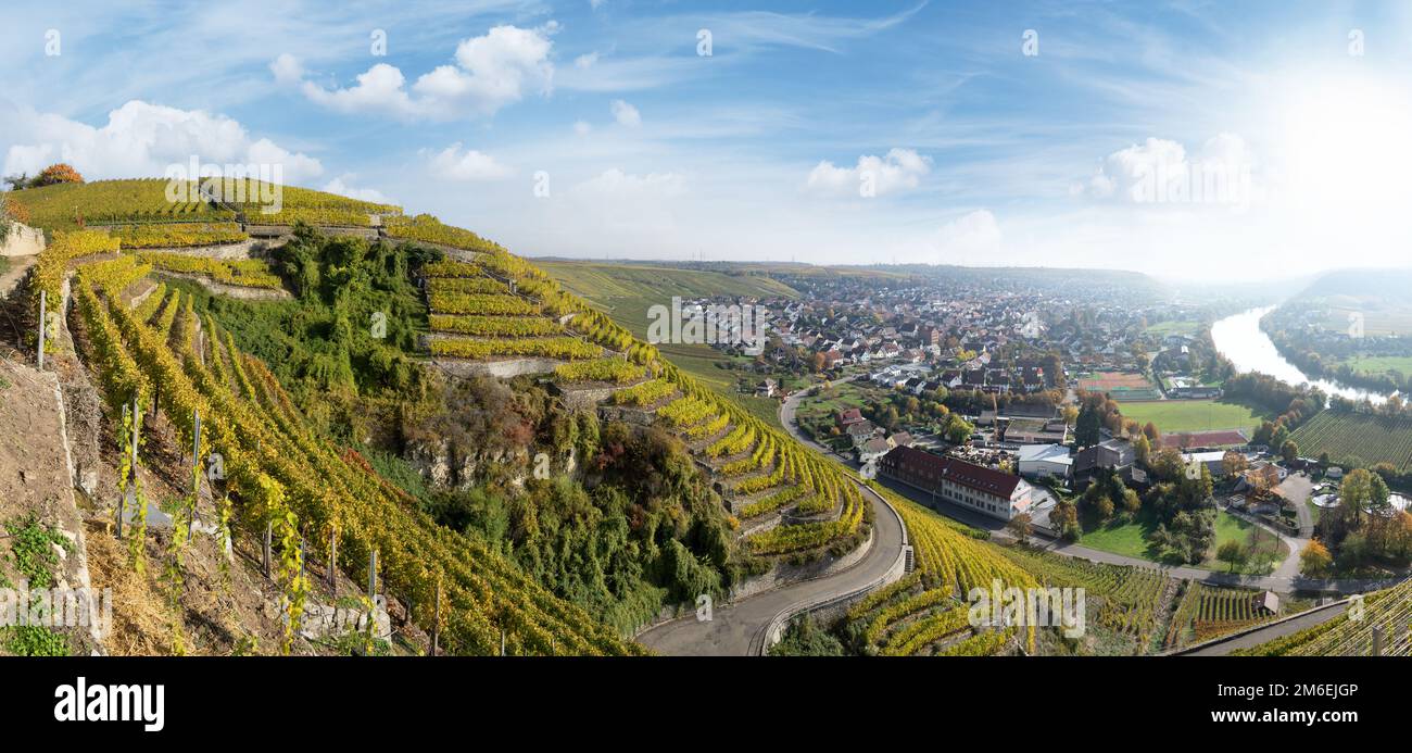 Weinberge im Herbst an einem Ort mit Fluss - Mundelsheim, Deutschland Stockfoto