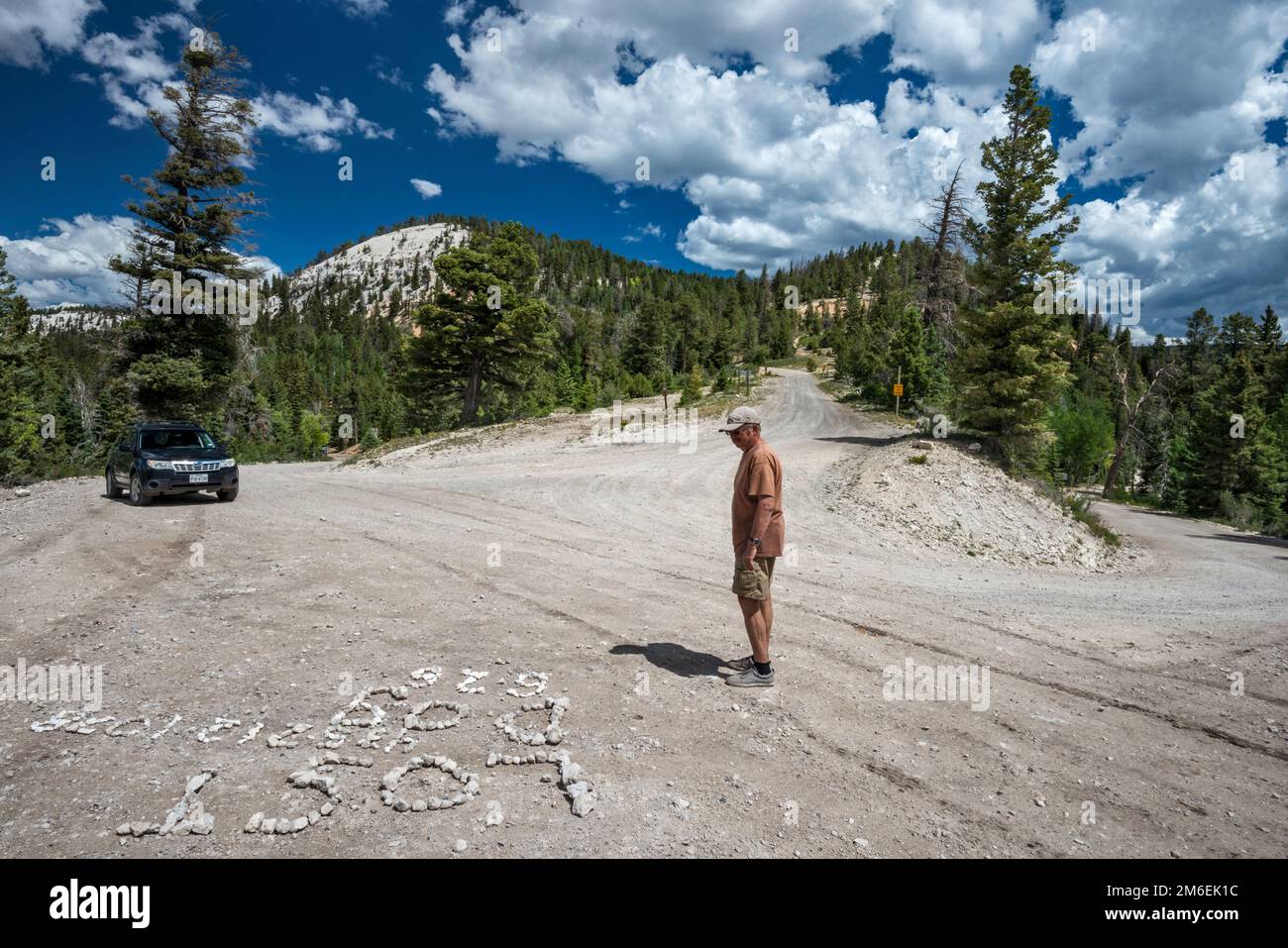 Mann mit Blick auf das Schild mit der Schindel des verlorenen Hundes auf der Straßenoberfläche an der Kreuzung von FR 17, FR 143 und FR 140. Escalante Mountains, Utah, USA Stockfoto