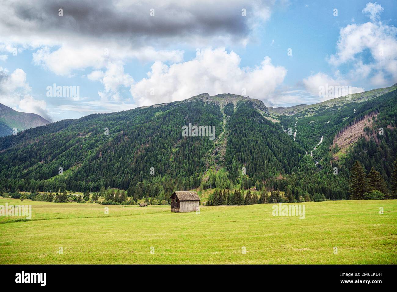 Kleine Hütte auf einem grünen Feld unter von Bäumen bedeckten Bergen Stockfoto