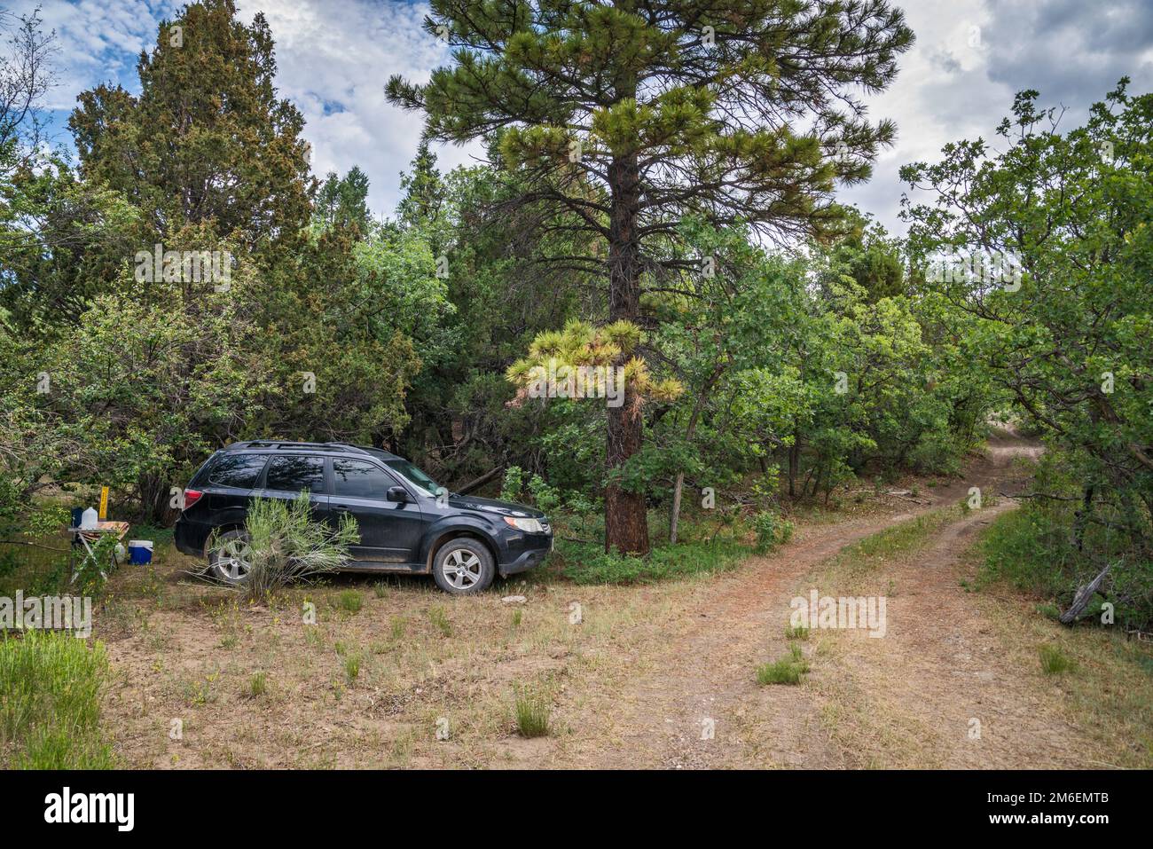 Geländewagen auf dem Campingplatz vor der FR 17 (Main Canyon Rd), in der Nähe von Birch Creek, Escalante Mountains, Dixie National Forest, in der Nähe von Escalante, Utah, USA Stockfoto