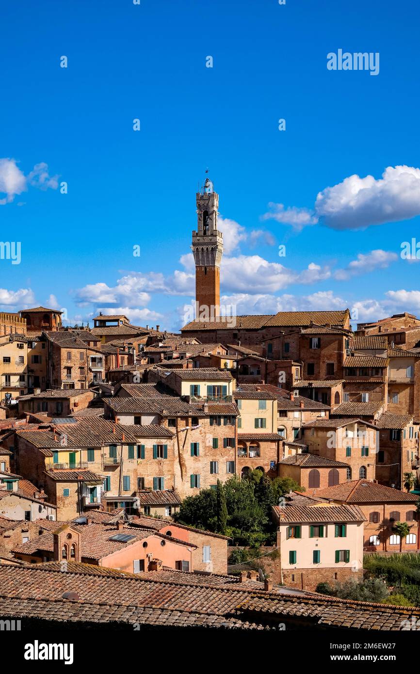 Panoramablick auf Siena mit Ziegeldächern, Duomo und Torre del Mangia - Toskana, Italien Stockfoto