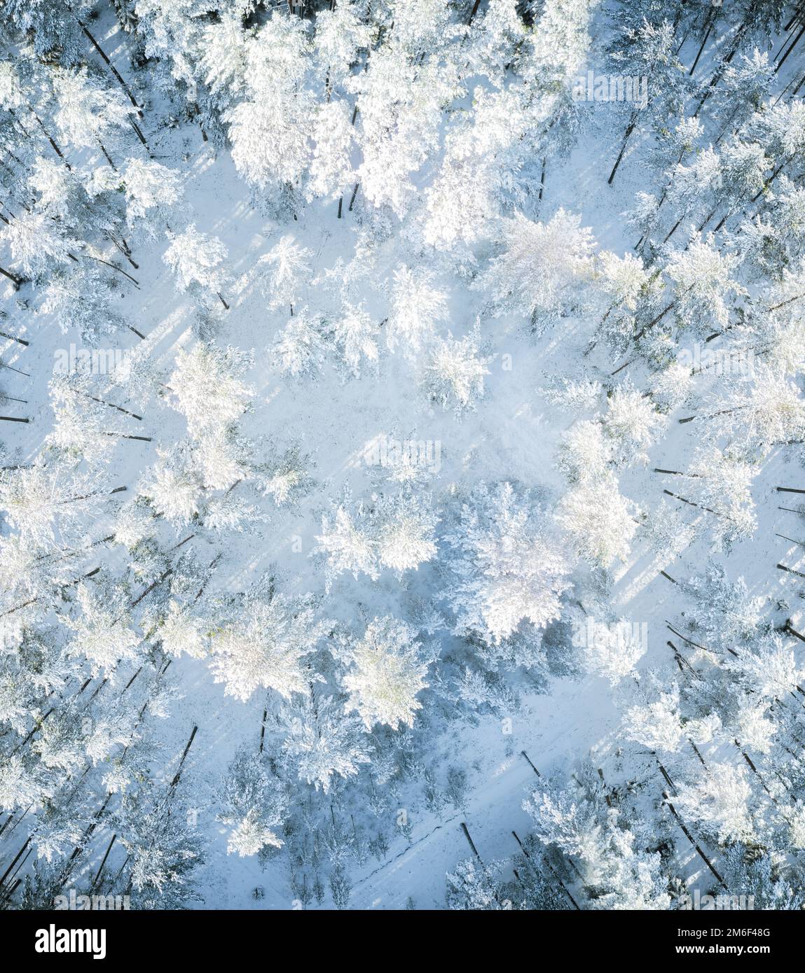 Wunderschöne Winterwald Luftaufnahme Stockfoto