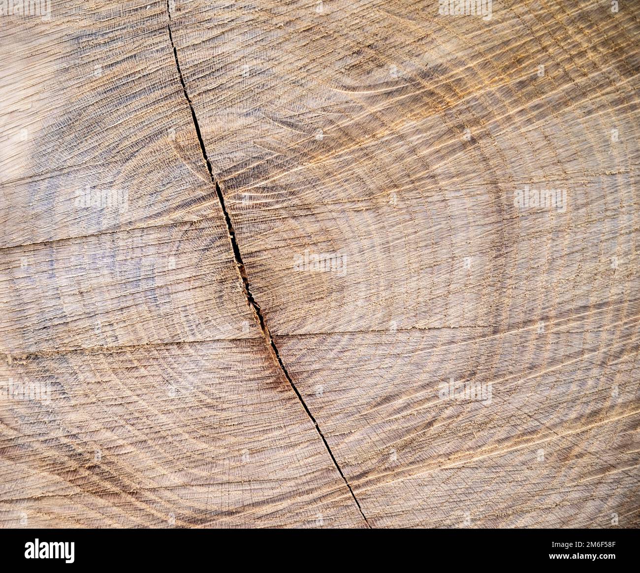 Nahaufnahmen von Holzstrukturen. Baumstamm schneiden.Jahresringe auf einem geschnittenen Baum Nahaufnahme.Holzherz zur Dekoration.Holzhintergrund.Holz Vorderansicht. Stockfoto