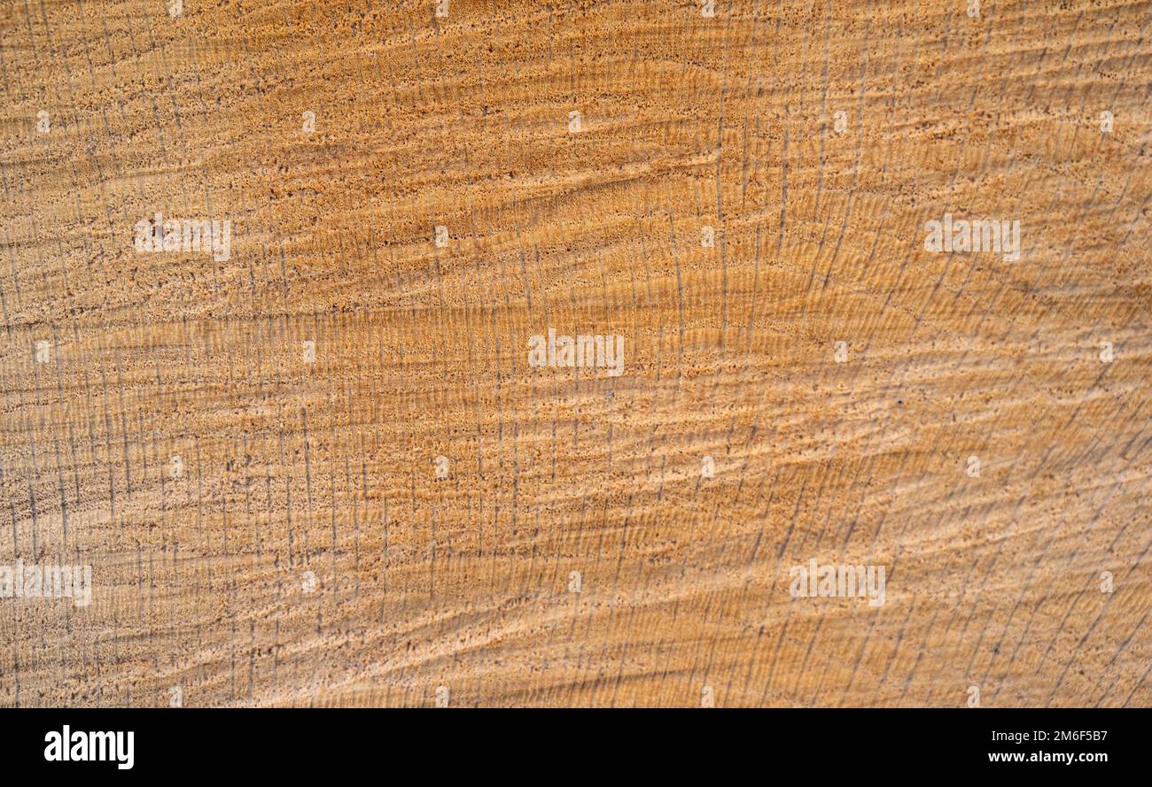 Nahaufnahmen von Holzstrukturen. Baumstamm schneiden.Jahresringe auf einem geschnittenen Baum Nahaufnahme.Holzherz zur Dekoration.Holzhintergrund.Holz Vorderansicht. Stockfoto