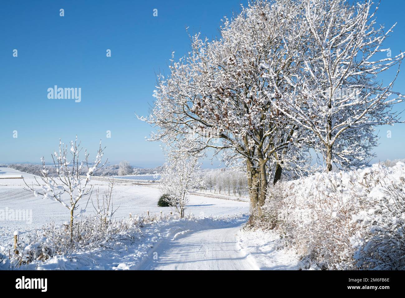 Schneebedeckte Landstraße im dezember. Snowshill, Cotswolds, Gloucestershire, England Stockfoto
