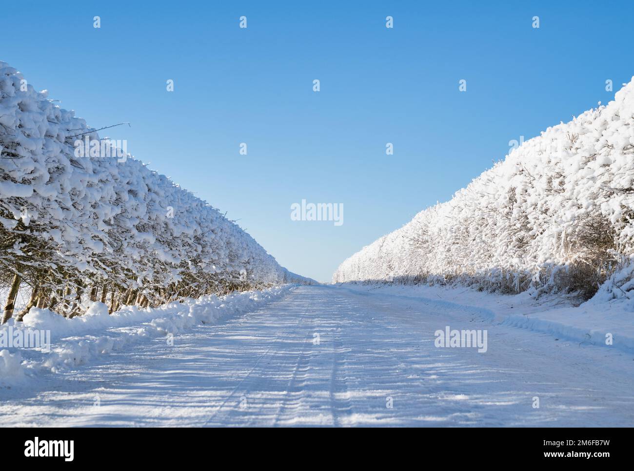 Schneebedeckte Landstraße im dezember. Snowshill, Cotswolds, Gloucestershire, England Stockfoto