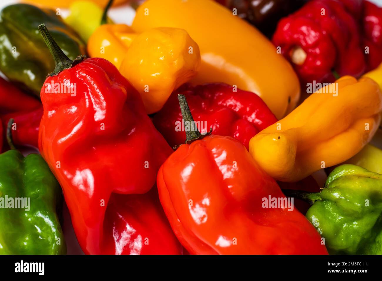 Bunter Haufen organischer Paprika auf dem Markt - rotes, grünes und gelbes Gemüse Stockfoto