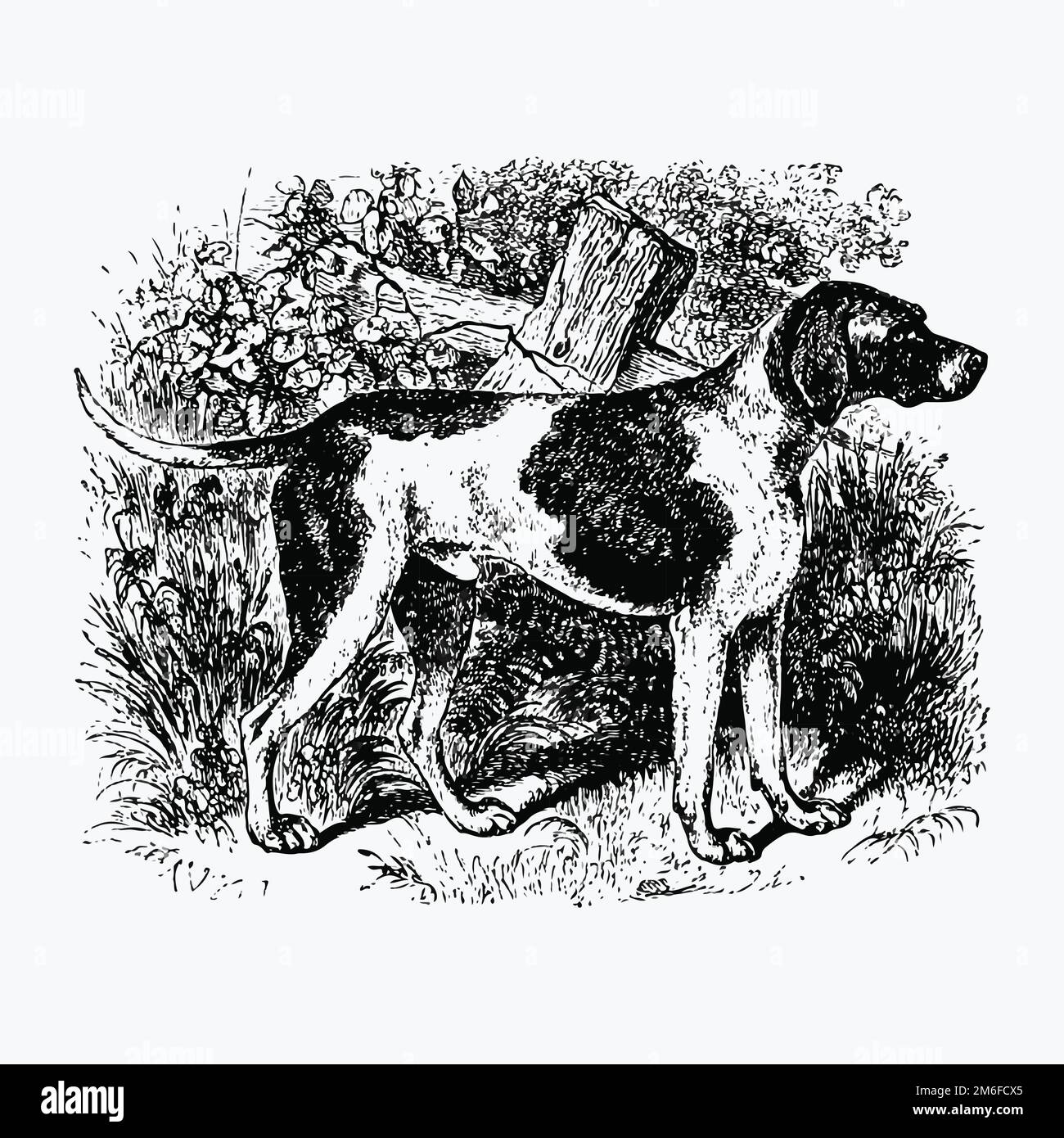 Rustikaler Haustier Hund veröffentlicht von William Blackwood & Sons (1840). Original aus der British Library. Digital verbessert durch Rawpixel. Stock Vektor