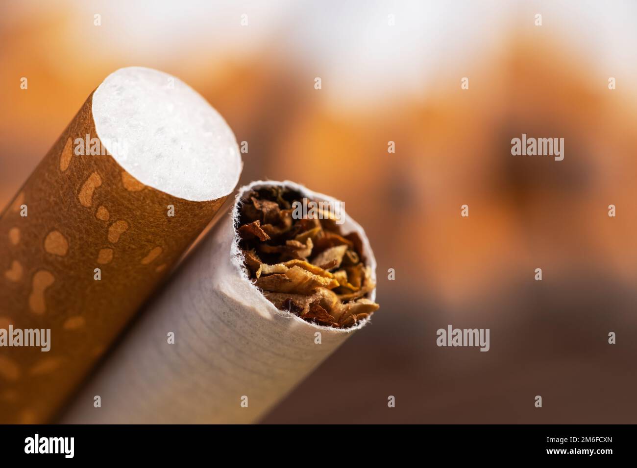 Tabak in Zigaretten mit Braunfilter-Nahaufnahme. Stockfoto