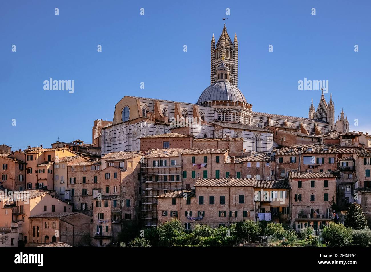 Panoramablick auf Siena mit Ziegeldächern, Duomo und Torre del Mangia - Toskana, Italien Stockfoto