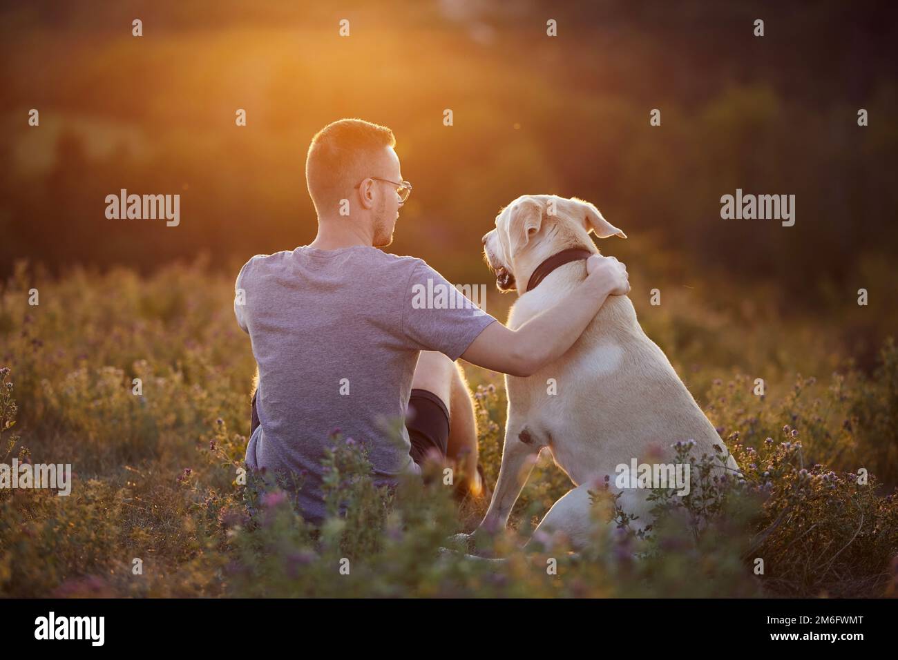 Mann mit Hund auf der Wiese bei Sonnenuntergang. Der Tierbesitzer sitzt im Gras zusammen mit dem loyalen labrador Retriever. Stockfoto