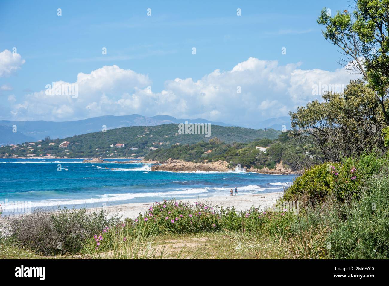 Entdeckung der Insel der Schönheit im Süden Korsikas, Frankreich Stockfoto