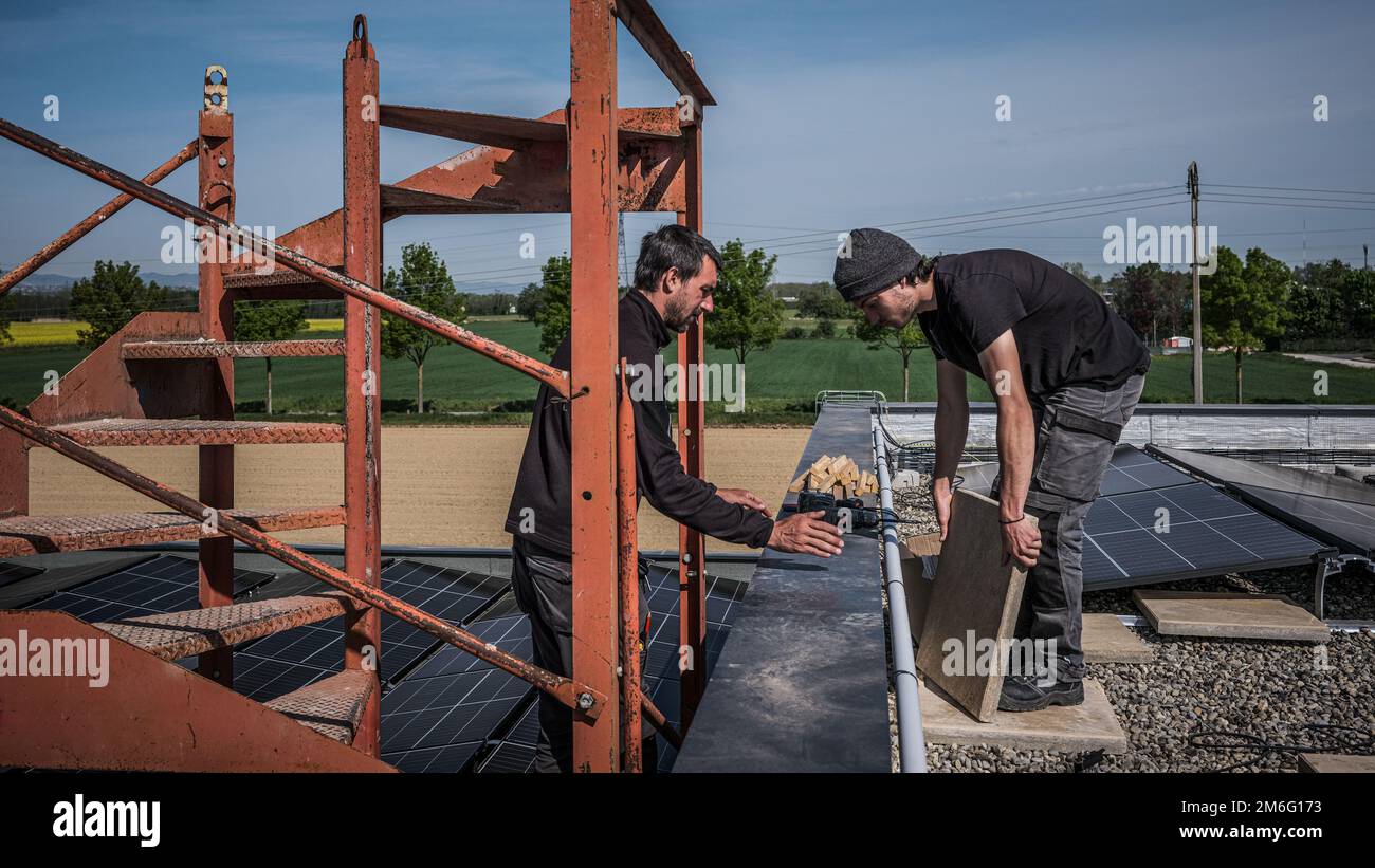 Männliche Teamingenieure, die eigenständige Solarpaneele installieren. Elektriker montieren blaues Solarmodul auf dem Dach des Unternehmens. Alternati Stockfoto