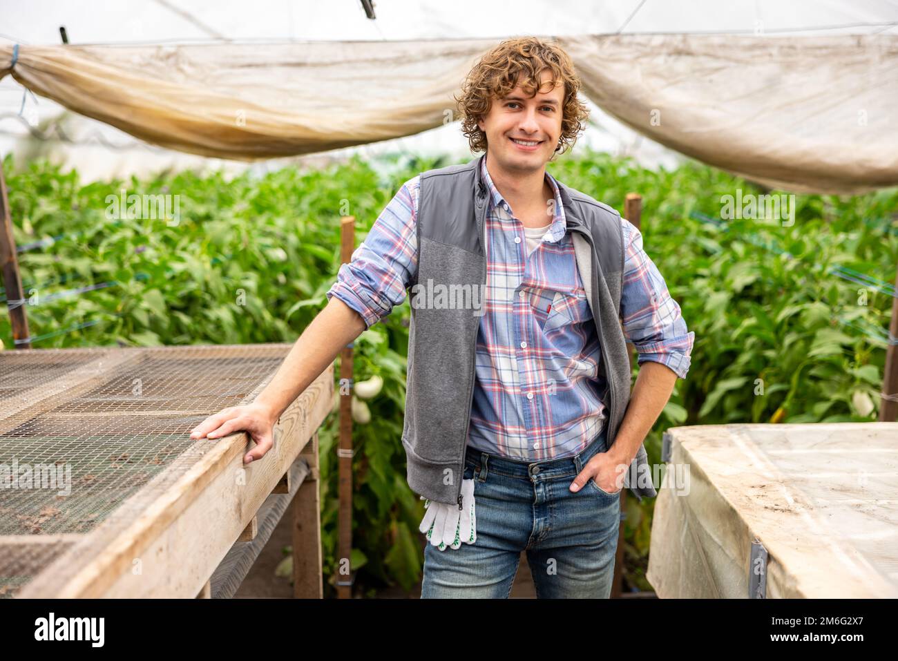Fröhlicher Landwirtschaftler, der für die Kamera im Treibhaus posiert Stockfoto