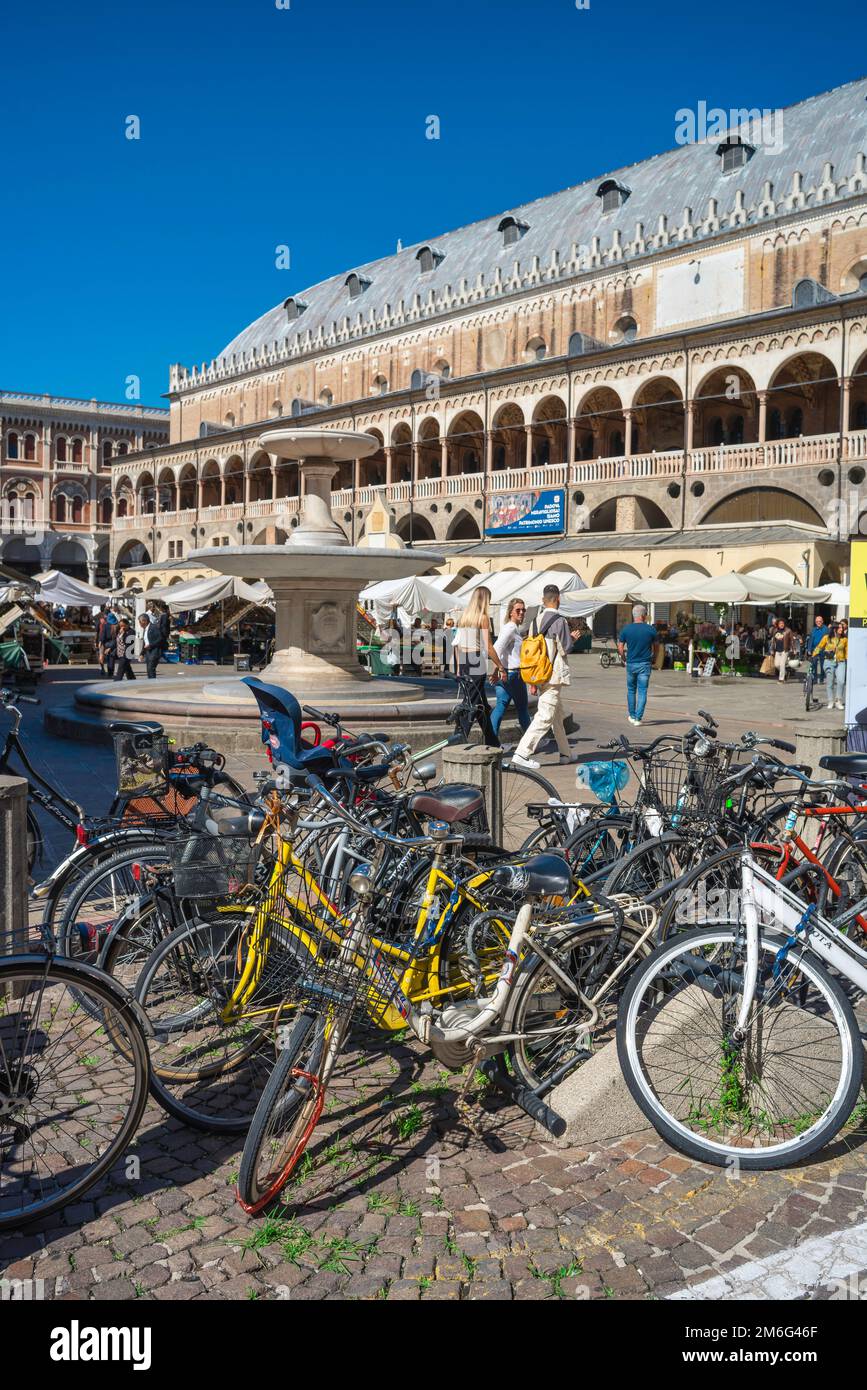 Studenten aus Padua Italien, Blick auf Fahrräder für Studenten und eine Gruppe junger Leute, die auf der Piazza delle Erbe in der Universitätsstadt Padua, Veneto Italien, spazieren gehen Stockfoto