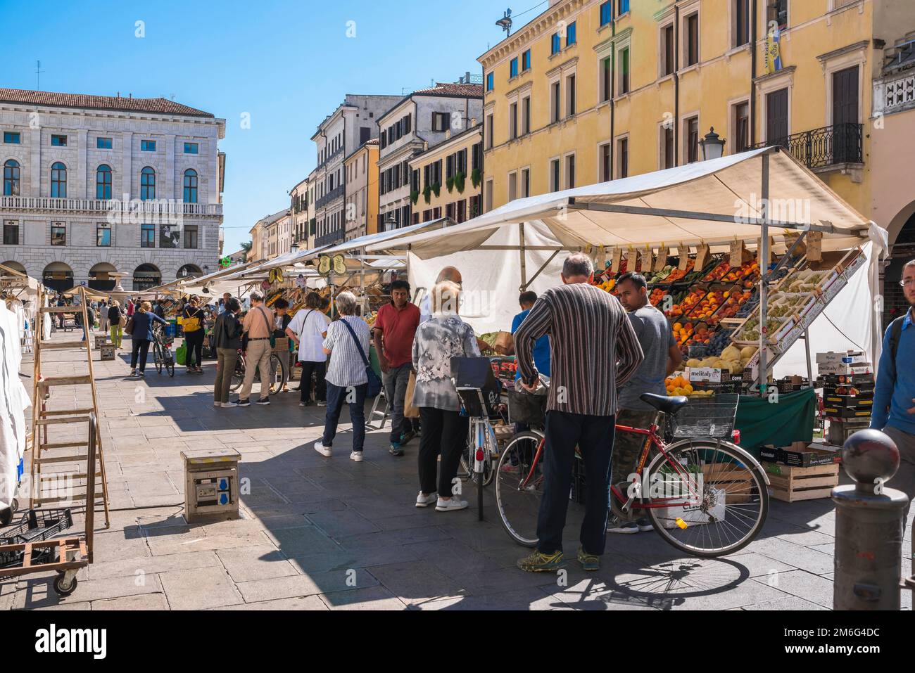 Padua Markt, sehen Sie im Sommer Menschen, die Obst und Gemüse auf dem täglichen Markt auf der Piazza delle Erbe, Stadt Padua, Veneto, Italien kaufen Stockfoto