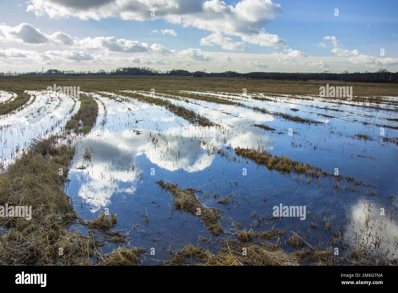 Wasser auf der großen Wiese und Wolken am Himmel Stockfoto