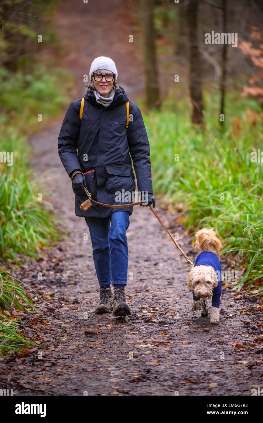 Weiße Frau in Wintermantel und Hut, die mit einem blonden Kakapoo-Hund spaziert, trägt einen Fleece-Hundeanzug auf dem Land Großbritanniens. Stockfoto