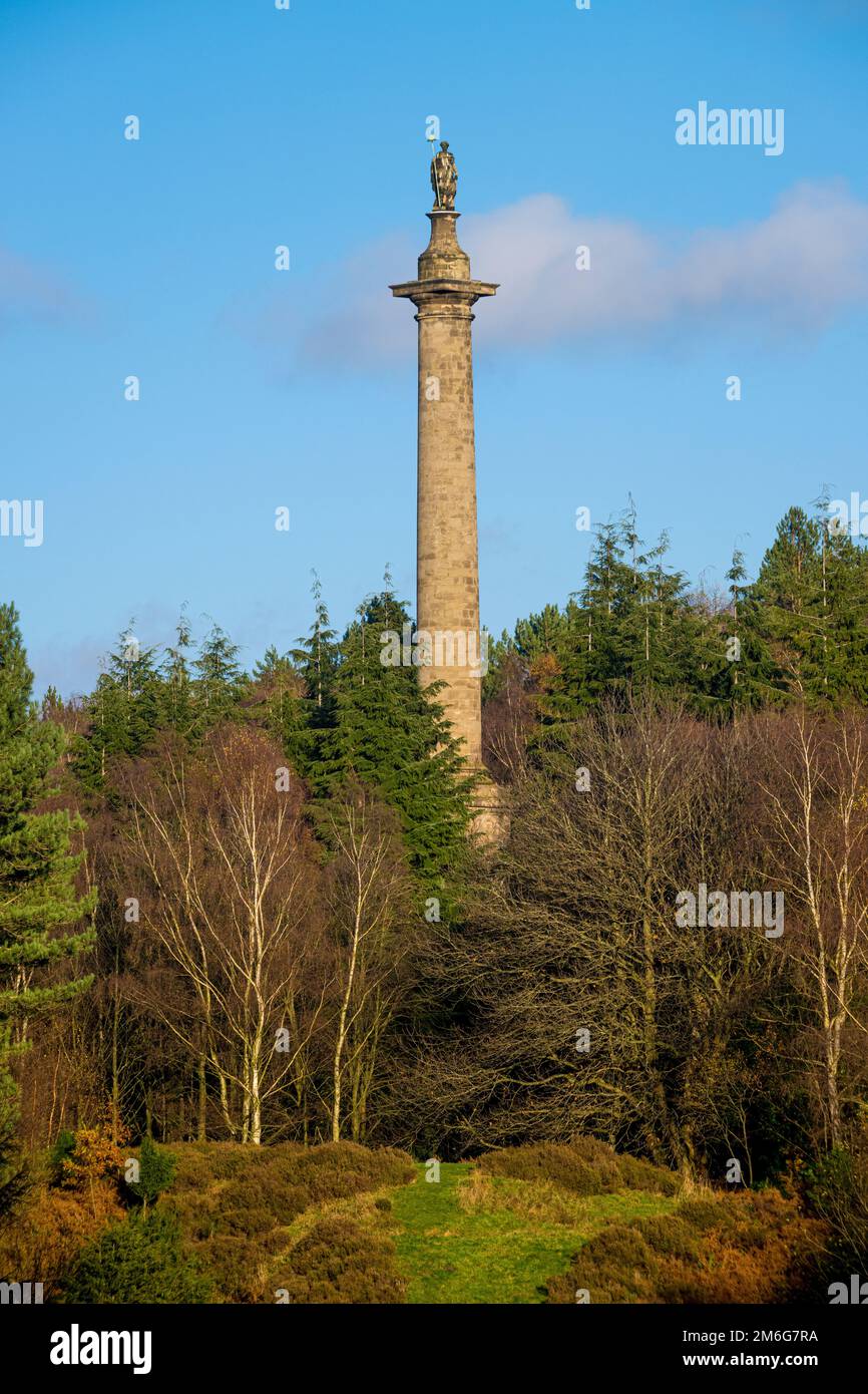 Die Säule zur Freiheit befindet sich in der Parklandschaft von Gibside. Tyne und Wear. UK Stockfoto