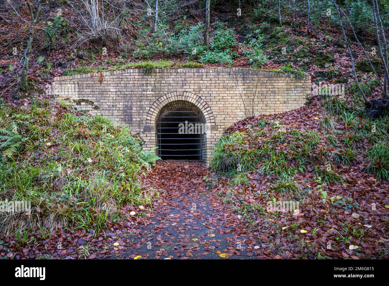 Snipes Dean, stillgelegter Bergwerkseingang auf dem Gibside Anwesen. Tyne und Wear. UK. Stockfoto