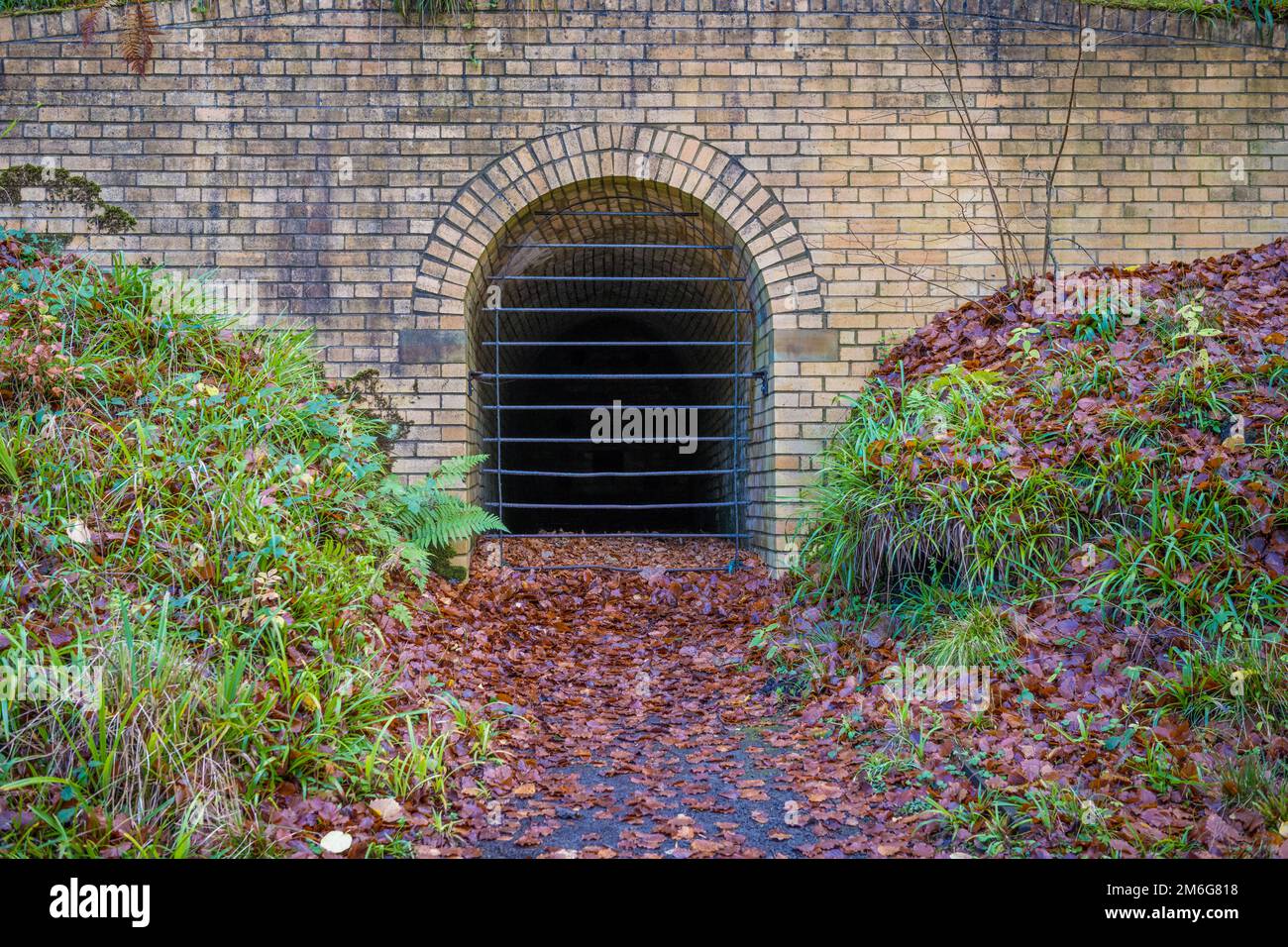 Snipes Dean, stillgelegter Bergwerkseingang auf dem Gibside Anwesen. Tyne und Wear. UK. Stockfoto