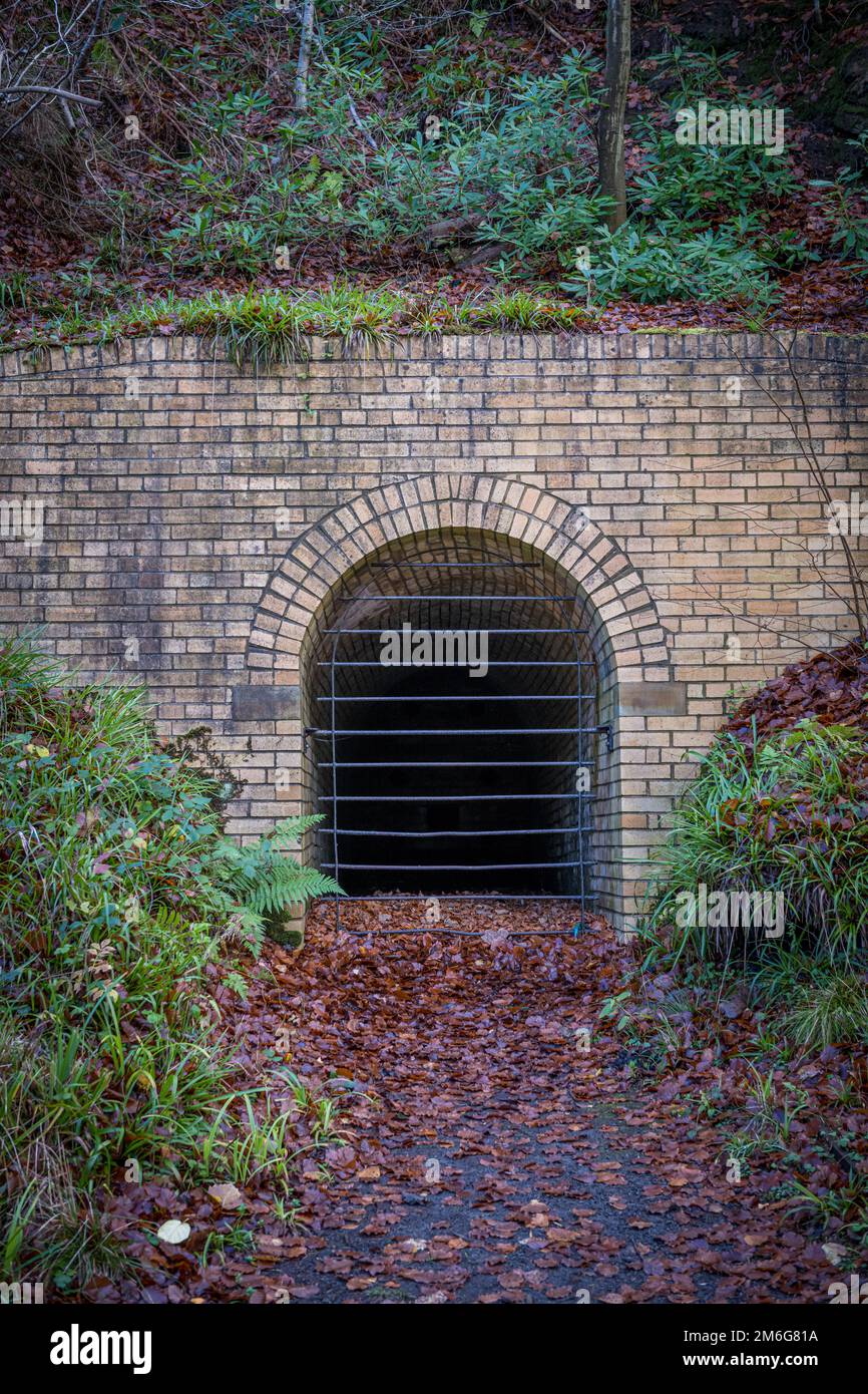 Snipes Dean, stillgelegter Bergwerkseingang auf dem Gibside Anwesen. Tyne und Wear. UK. Stockfoto