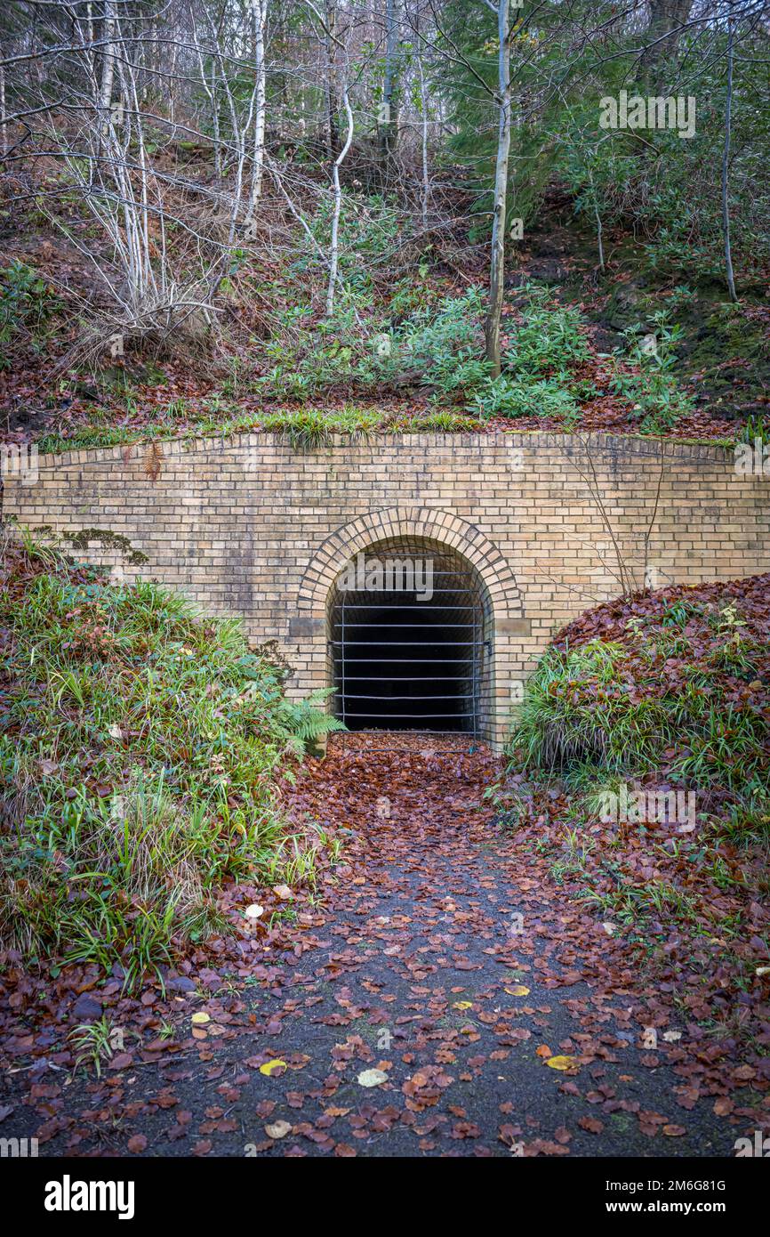 Snipes Dean, stillgelegter Bergwerkseingang auf dem Gibside Anwesen. Tyne und Wear. UK. Stockfoto