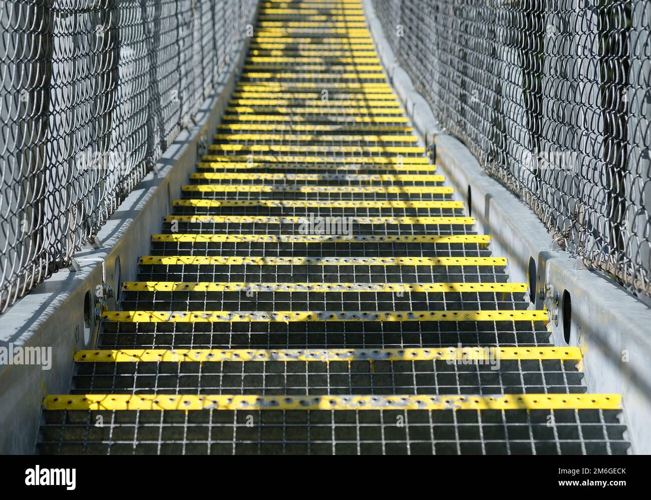 Hängebrücke zwischen den Bäumen in den alpen in Kals am Grossglockner Stockfoto