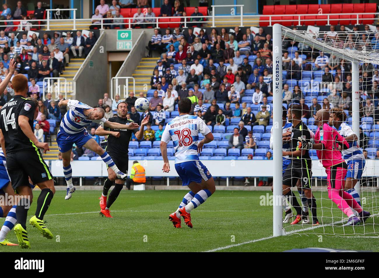 Joey van den Berg of Reading erzielt ein eigenes Tor für Brighton und erreicht damit 1-1 Punkte – Reading gegen Brighton & Hove Albion, Sky Bet Championship, Madejski Stadium, Reading – 20. August 2016. Stockfoto