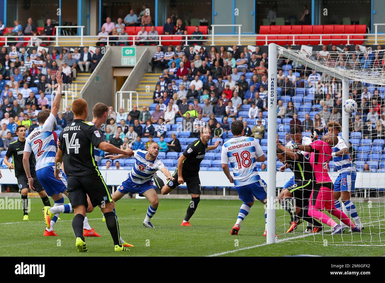 Joey van den Berg of Reading (Zentrum) erzielt ein eigenes Tor für Brighton und erreicht damit 1-1 Punkte – Reading gegen Brighton & Hove Albion, Sky Bet Championship, Madejski Stadium, Reading – 20. August 2016. Stockfoto