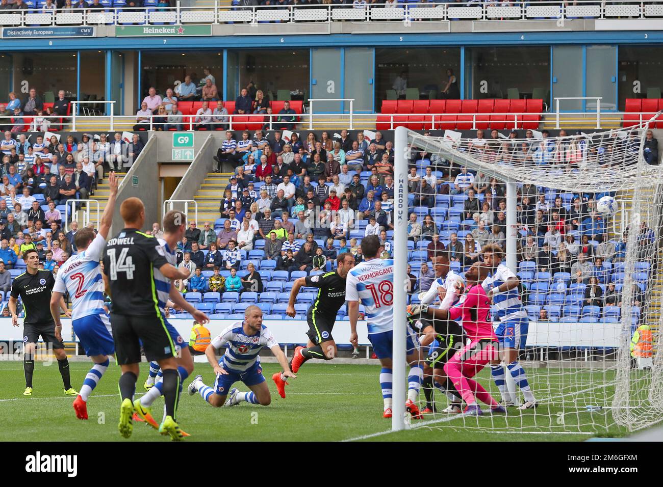 Joey van den Berg of Reading (Zentrum) erzielt ein eigenes Tor für Brighton und erreicht damit 1-1 Punkte – Reading gegen Brighton & Hove Albion, Sky Bet Championship, Madejski Stadium, Reading – 20. August 2016. Stockfoto