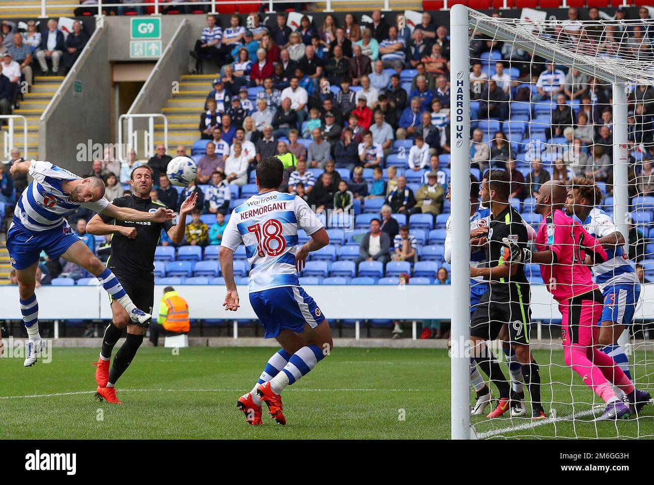 Joey van den Berg of Reading erzielt ein eigenes Tor für Brighton und erreicht damit 1-1 Punkte – Reading gegen Brighton & Hove Albion, Sky Bet Championship, Madejski Stadium, Reading – 20. August 2016. Stockfoto