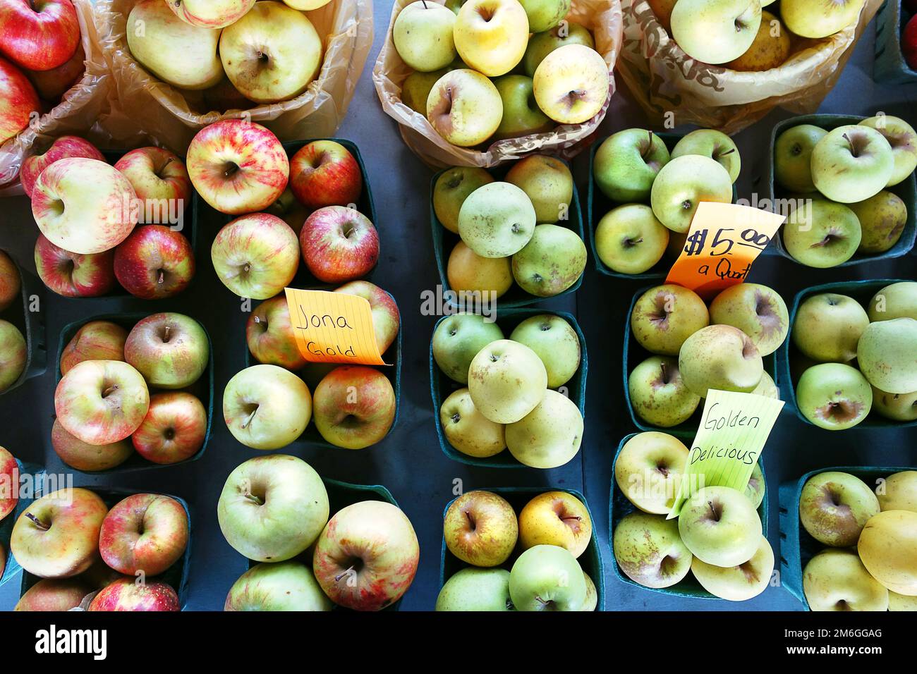 North Carolina hat auf dem State Farmers Market in Raleigh, North Carolina, Jona Gold und Golden Delicious Äpfel angebaut Stockfoto