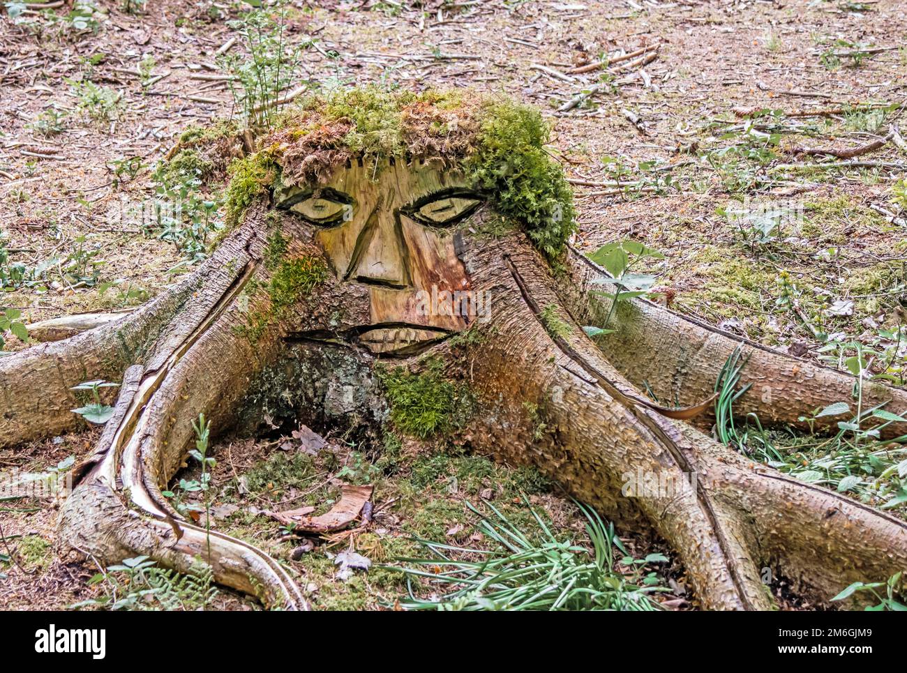 Holzschnitzerei, Pfrungener Ried, Wilhemsdorf-Pfrungen Stockfoto