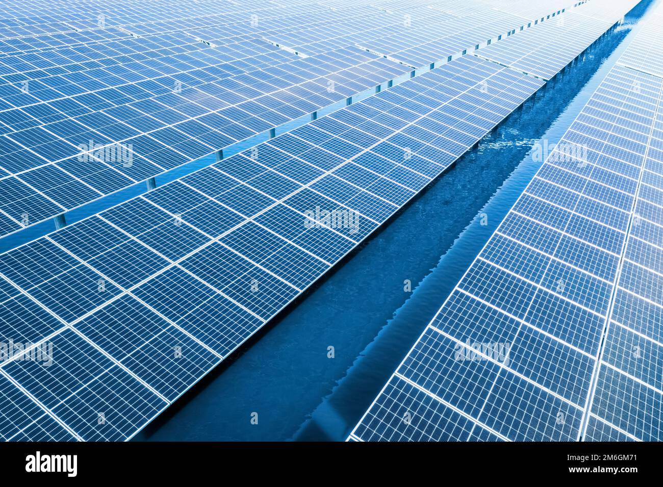 Solar Panel Mit Sonnenblume Stockfoto und mehr Bilder von Blau - Blau,  Blüte, Elektrizität - iStock