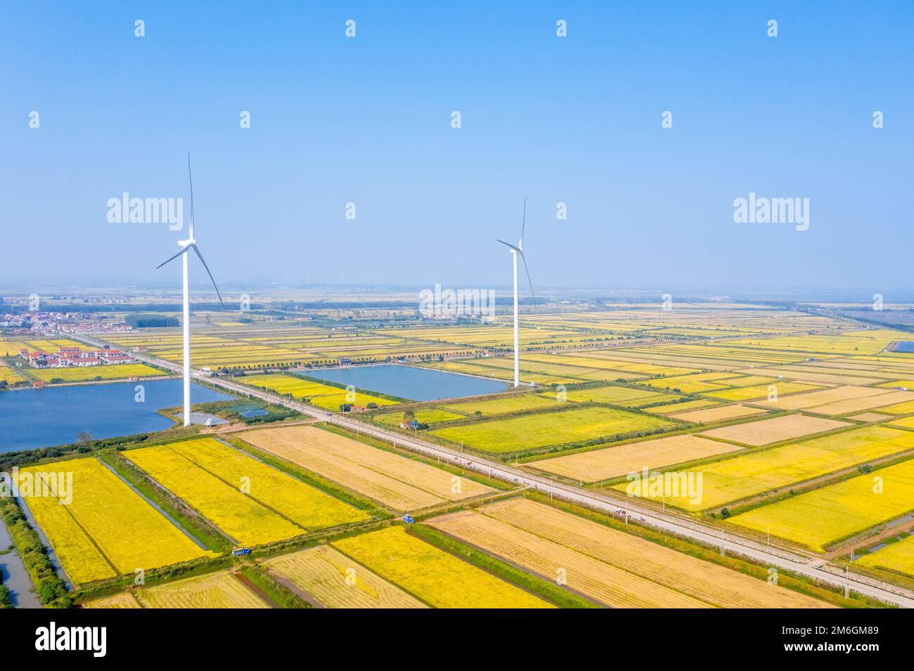 Reisfelder und Windturbinen im Herbst Stockfoto