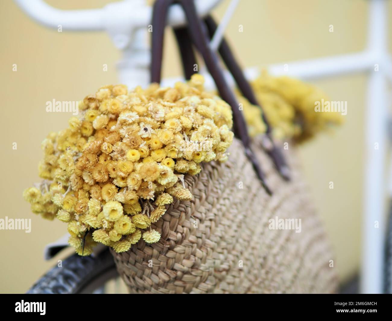 Stille Leben mit einer Tasche voller Blumen Stockfoto