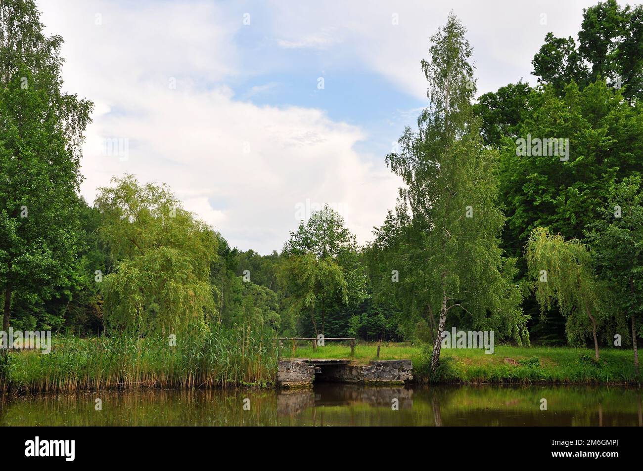 Kleine Dorfbrigde aus Stein und Holz über dem Waldteich mit ruhigem Wasser Stockfoto