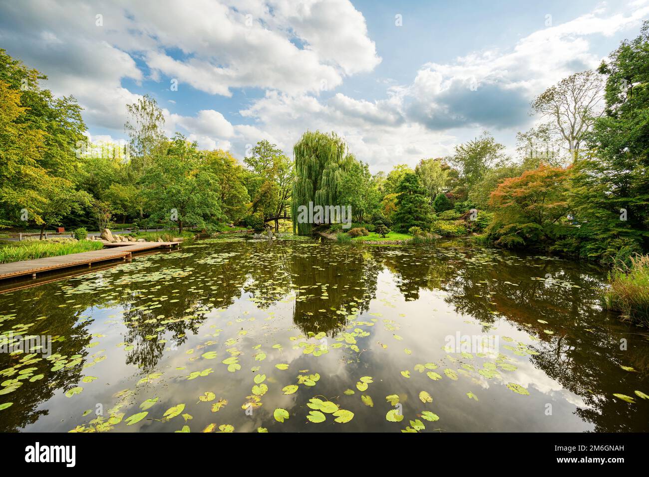 Herbstpark. Japanischer Garten in Breslau, Polen. Hochwertiges Foto Stockfoto