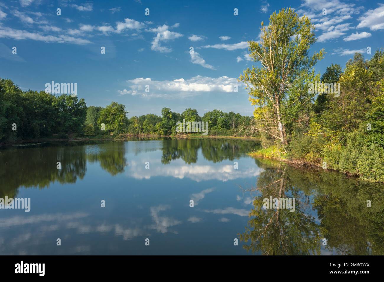 Ruhiger Sommersee im Wald Stockfoto