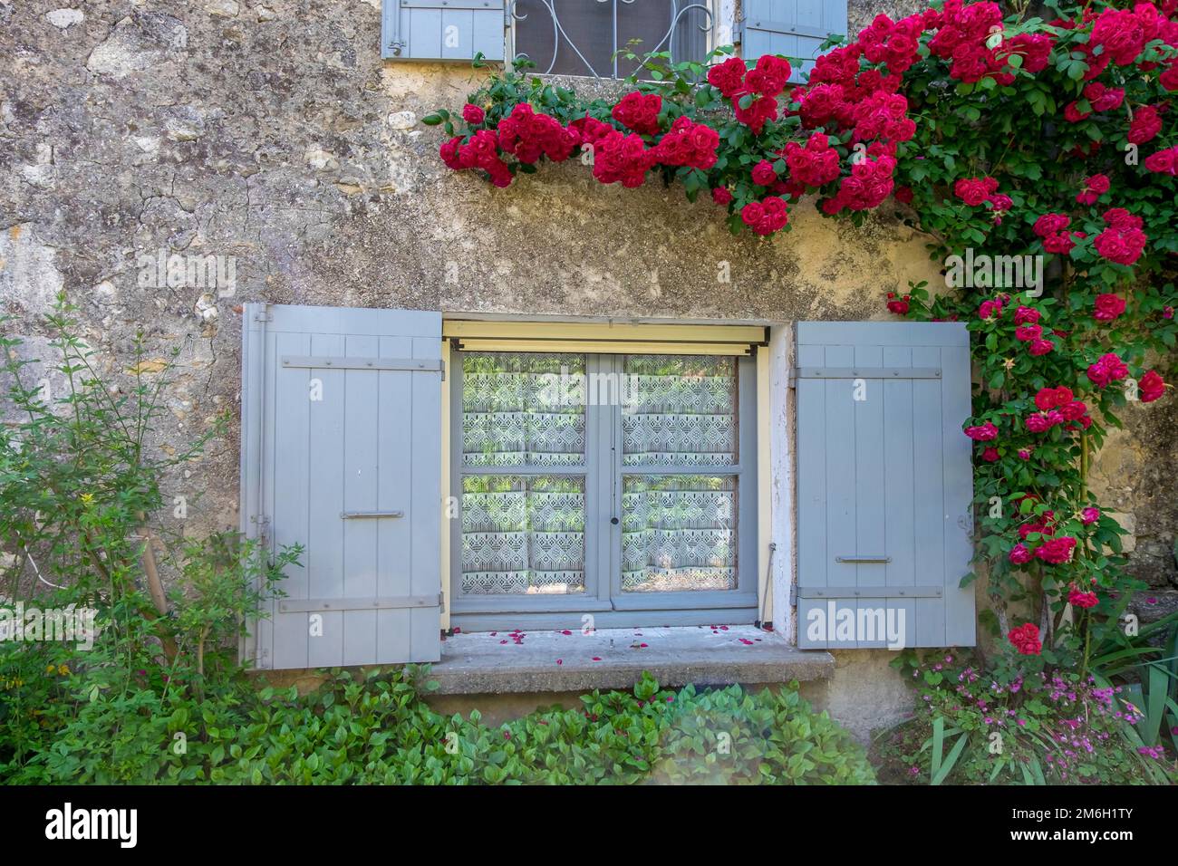 Fenster mit Rosenbusch, Oppede-le-Vieux, Vaucluse, Provence Alpes Cote dAzur, Frankreich Stockfoto