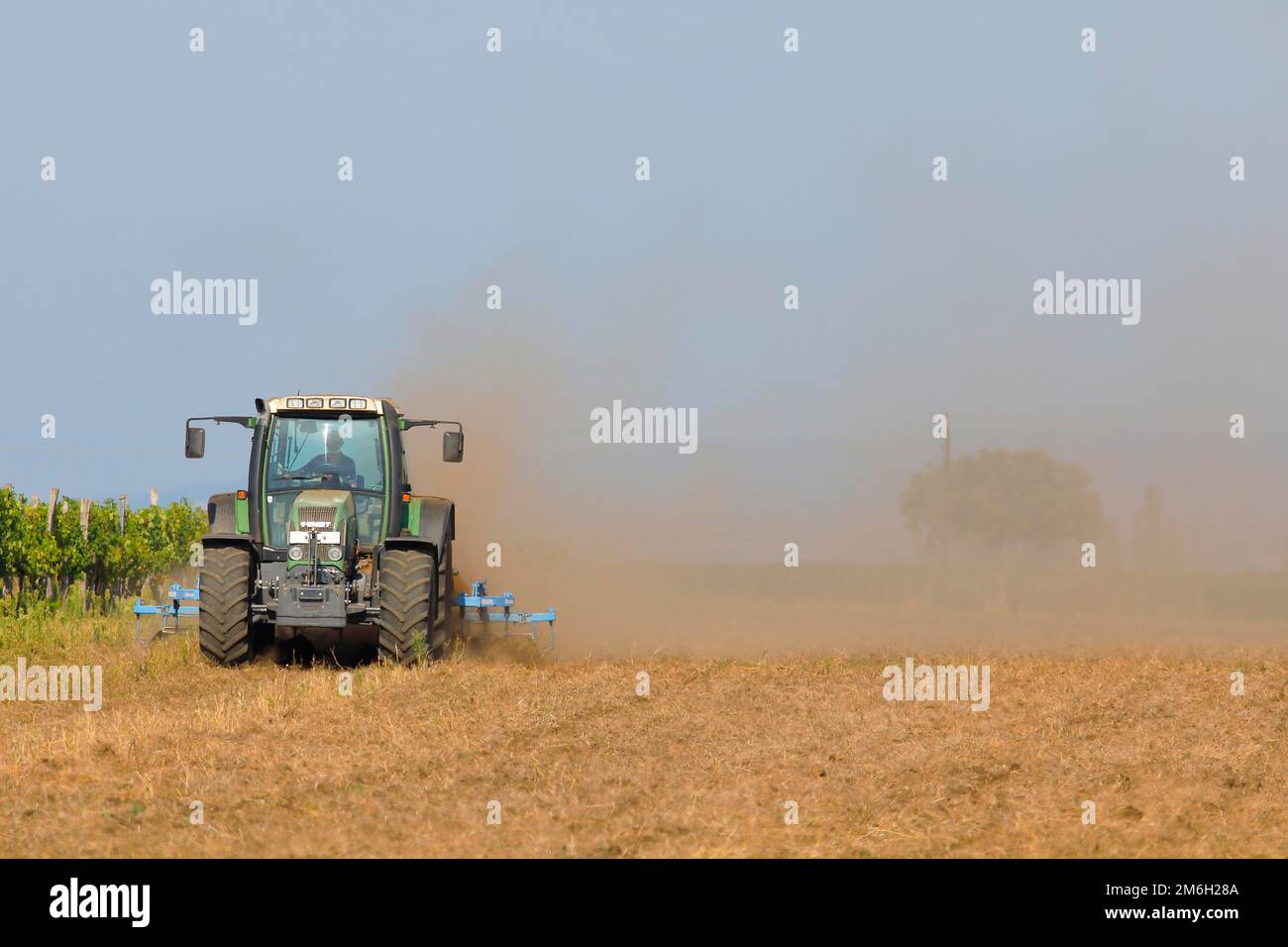 Landwirtschaft, Fendt-Traktor pflügt ein Feld während der Dürre, Neusiedlsee-Nationalpark, Seewinkel, Burgenland, Österreich Stockfoto