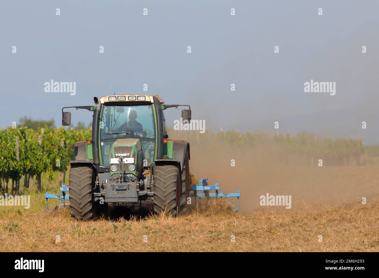 Landwirtschaft, Fendt-Traktor pflügt ein Feld während der Dürre, Neusiedlsee-Nationalpark, Seewinkel, Burgenland, Österreich Stockfoto