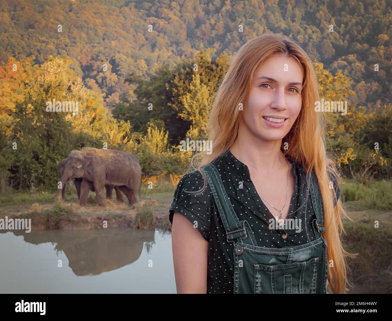 Lächelnde langhaarige Frau vor wanderenden Elefanten im Safaripark Stockfoto