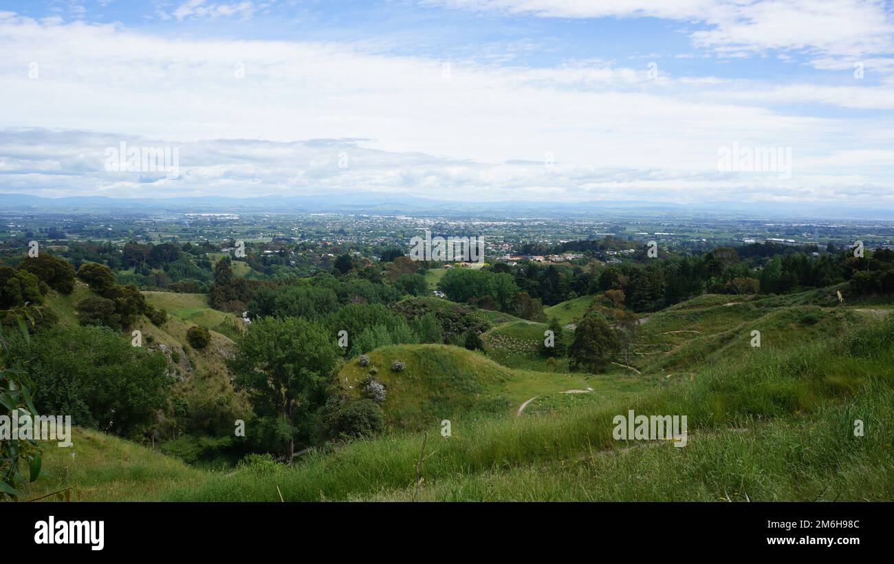 Eine idyllische Naturlandschaft mit grünen Hügeln und Bäumen in Neuseeland Stockfoto