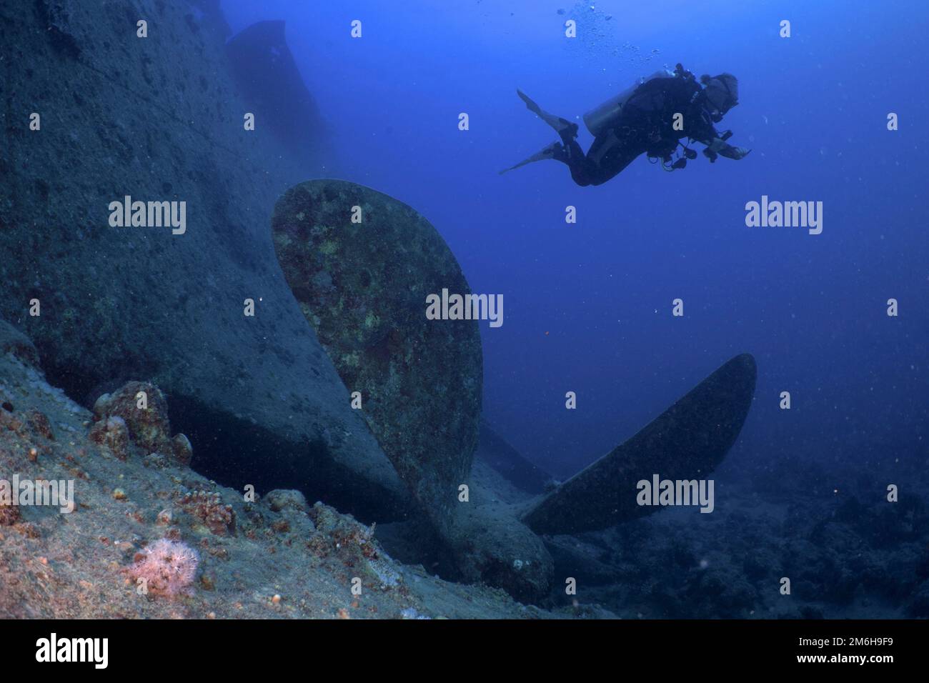 Thistlegorm Propeller aus dem Zweiten Weltkrieg auf dem Meeresboden. Taucher im Hintergrund. Tauchplatz Thistlegorm Wreck, Sinai, Ägypten, Rotes Meer Stockfoto