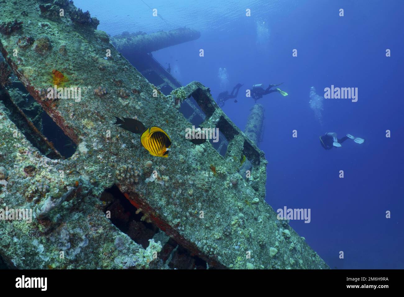 Taucher auf dem Aufstieg. Tauchplatz Giannis D Wreck, Hurghada, Ägypten, Rotes Meer Stockfoto