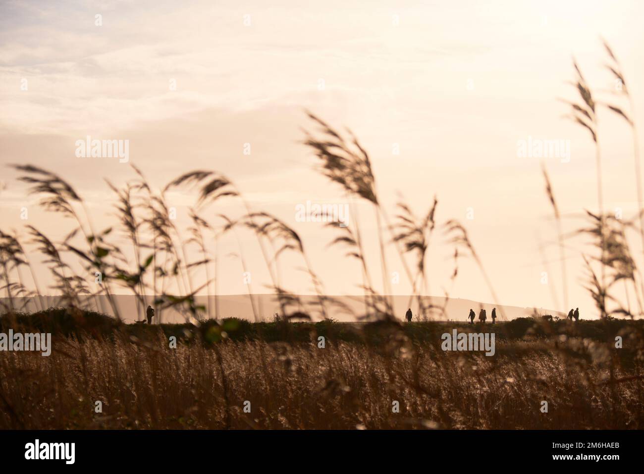 Die Wanderer sind in der Ferne auf der Seebaumdeiche von Keyhaven umrandet Stockfoto