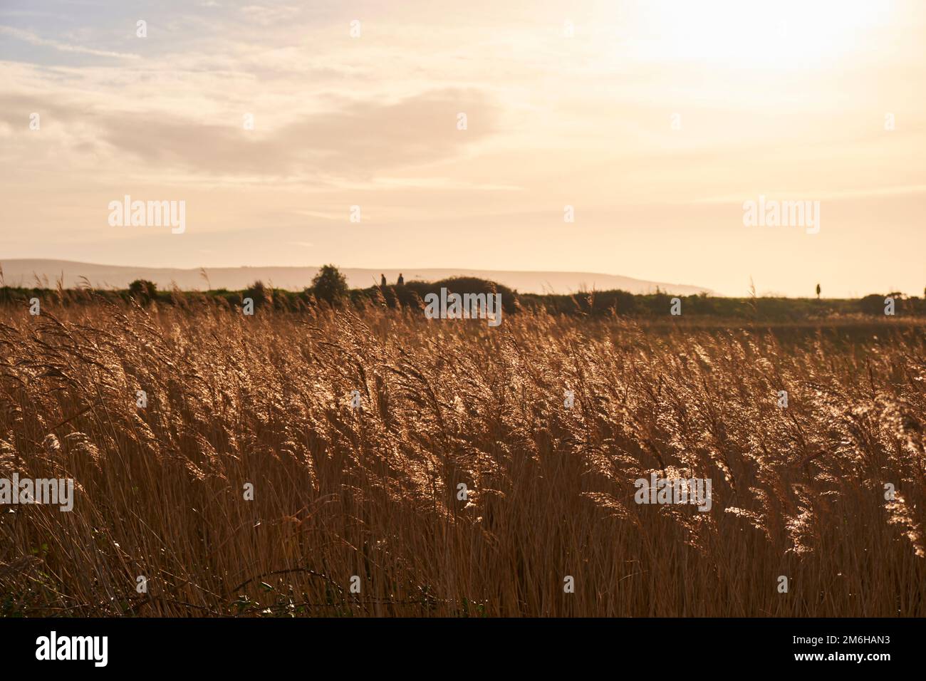 Die Wanderer sind in der Ferne auf der Seebaumdeiche von Keyhaven umrandet Stockfoto